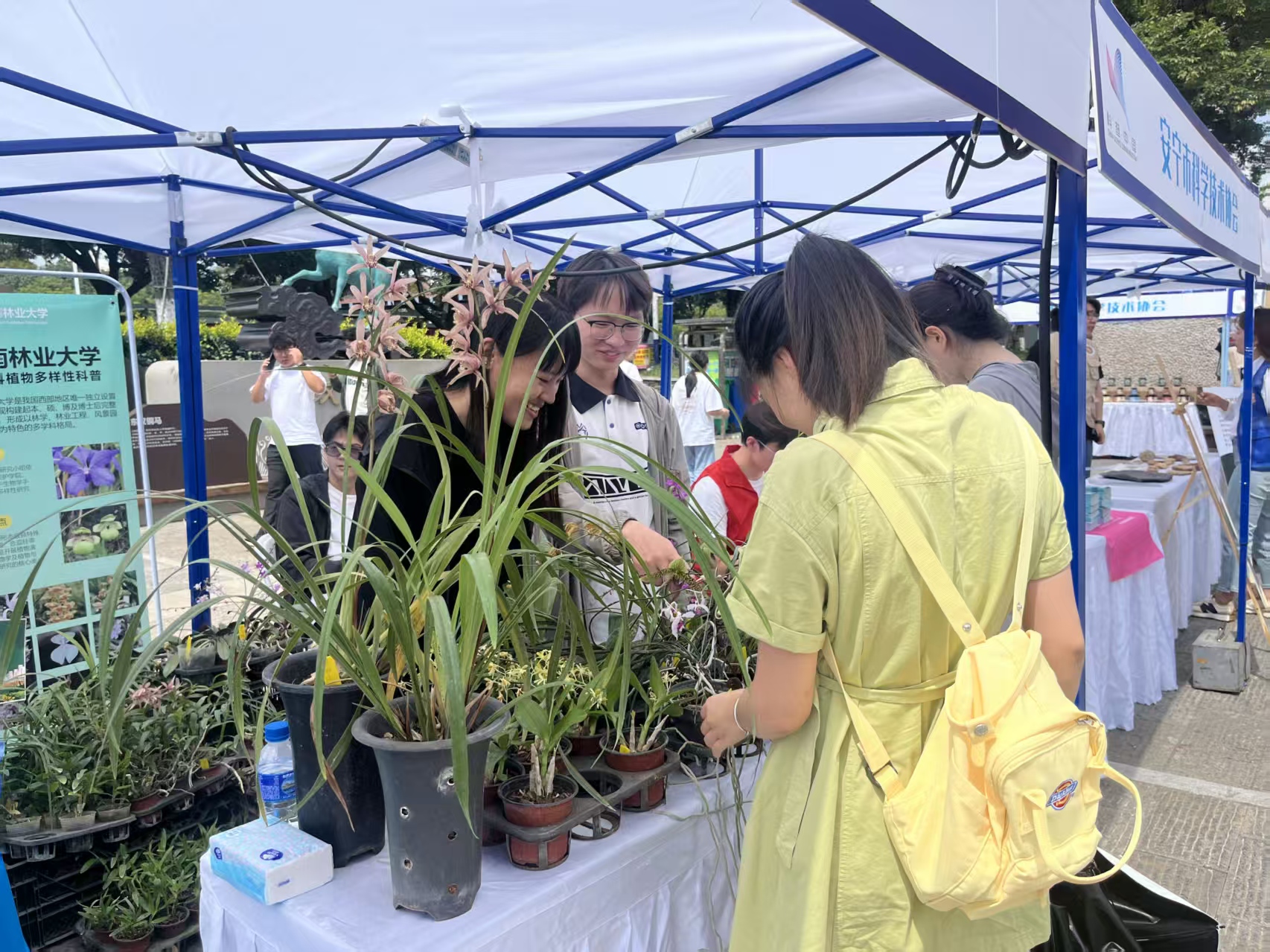 8c1ceecb837cdbef366c3b38cdd4c5ee