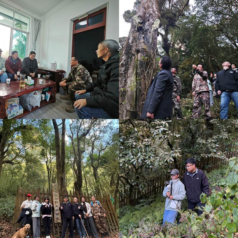 微信图片_20260101235047_138_74