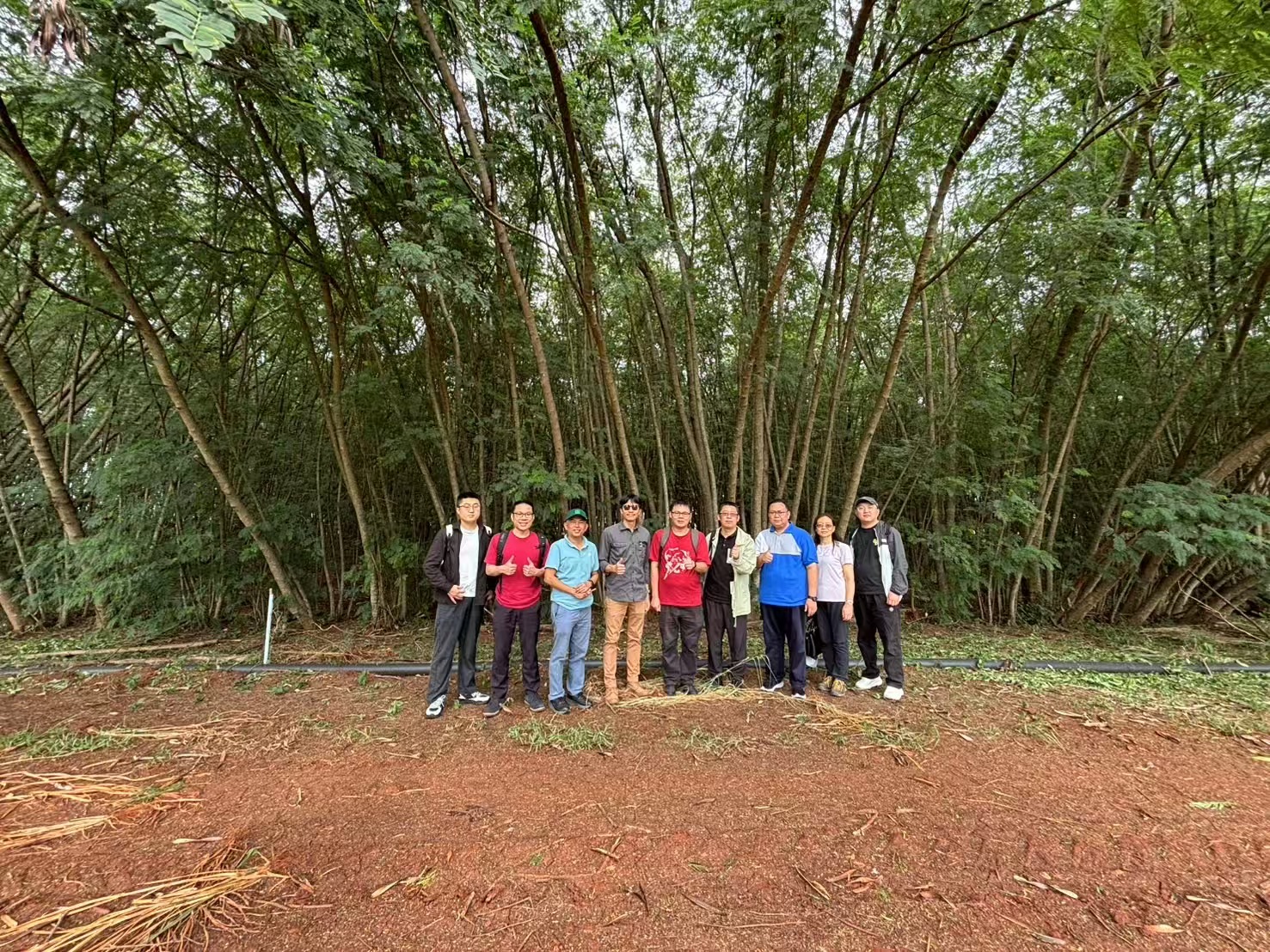 dd4c4352ae7302ebb3f7bd944e904d97