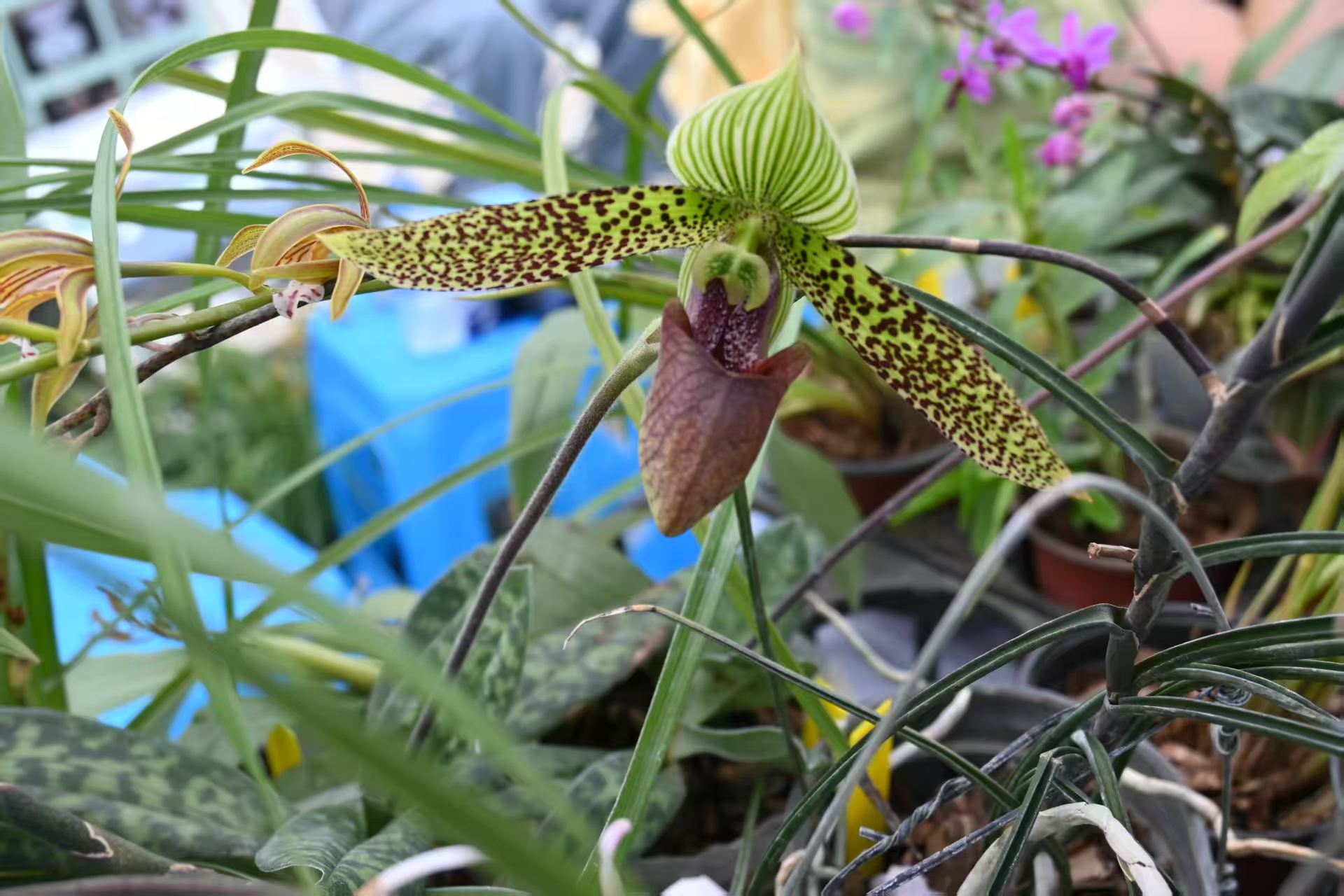 1b2a5d0850469ac2f969fa5f156548f7