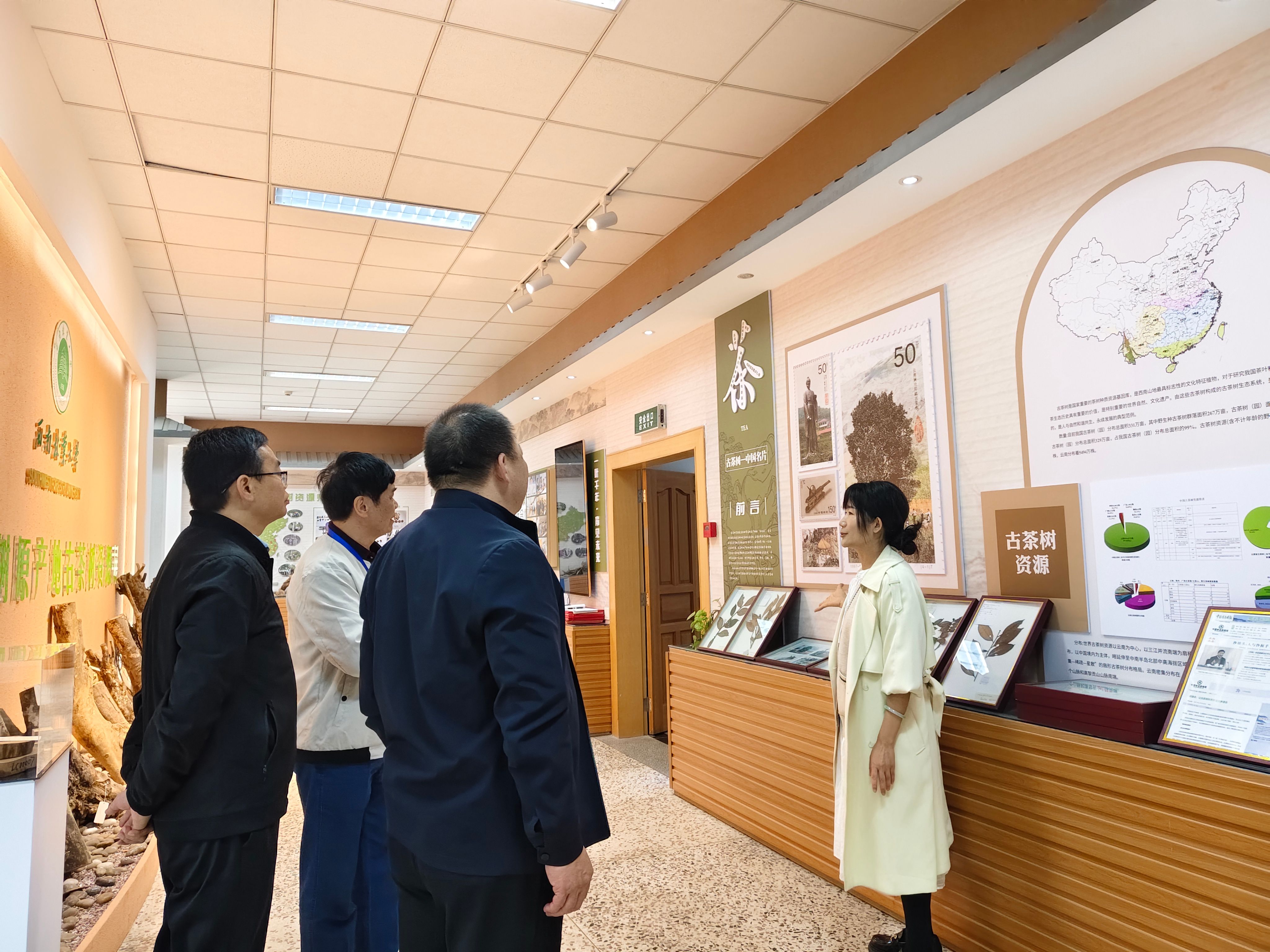 mmexport1763093755372