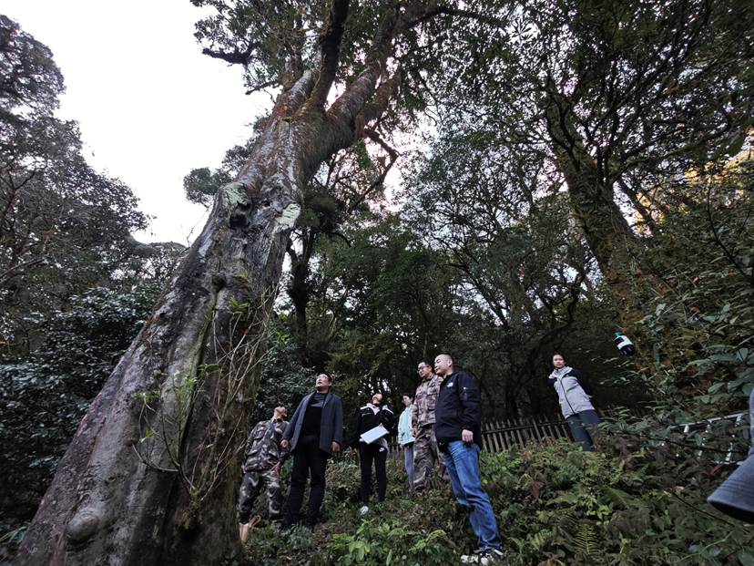 微信图片_20260101014245_401_18